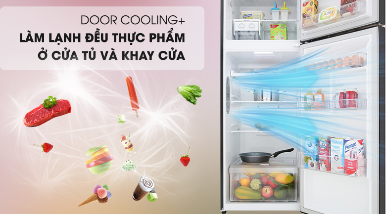 DoorCooling+ - Tủ lạnh LG Inverter 315 lít GN-M315BL