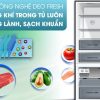 Công nghệ DEO Fresh - Tủ lạnh Aqua Inverter 320 lít AQR-IW378EB BS