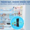 Công nghệ Ag Clean - Tủ lạnh Panasonic Inverter 642 lít NR-F654GT-X2