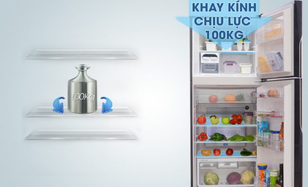 R-VG440PGV3 (GBK) khay kệ chịu lực