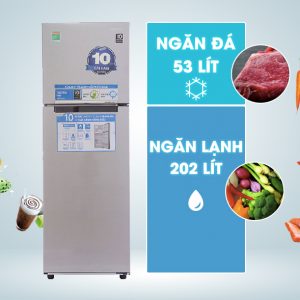 dung tích tủ lạnh RT25HAR4DSA/SV