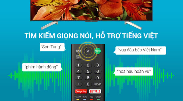 tìm kiếm bằng giọng nói trên Smart Tivi KD-49X8500F