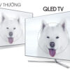 Smart Tivi QLED 4K Samsung 49 Inch QA49Q7F Hình ảnh chi tiết, sắc nét