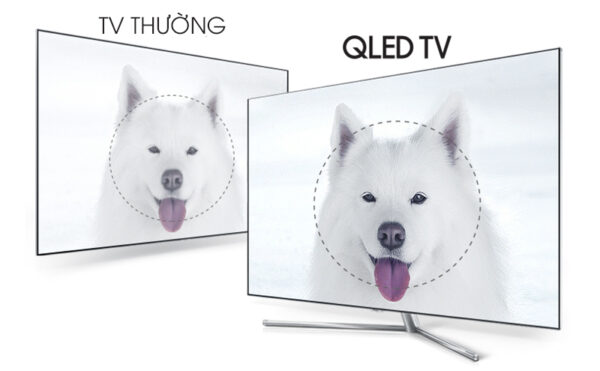 Smart Tivi QLED 4K Samsung 49 Inch QA49Q7F Hình ảnh chi tiết, sắc nét