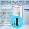 Công nghệ Ag Clean - Tủ lạnh Panasonic Inverter 589 lít NR-F603GT-N2