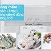 Optimal Fresh Zone - Tủ lạnh Samsung Inverter 236 lít RT22M4032DX/SV