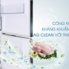 Công nghệ kháng khuẩn, khử mùi Ag Clean với tinh thể bạc Ag+ - Tủ lạnh Panasonic Inverter 322 lít NR-BC369QKV2