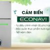 Cảm biến Econavi - Tủ lạnh Panasonic Inverter 326 lít NR-BL359PSVN