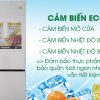 Cảm biến Econavi giúp tiết kiệm điện năng hiệu quả - Tủ lạnh Panasonic Inverter 290 lít NR-BV329QSV2