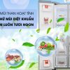 Bộ lọc khử mùi than hoạt tính - Tủ lạnh Samsung Inverter 647 lít RS62R5001M9/SV